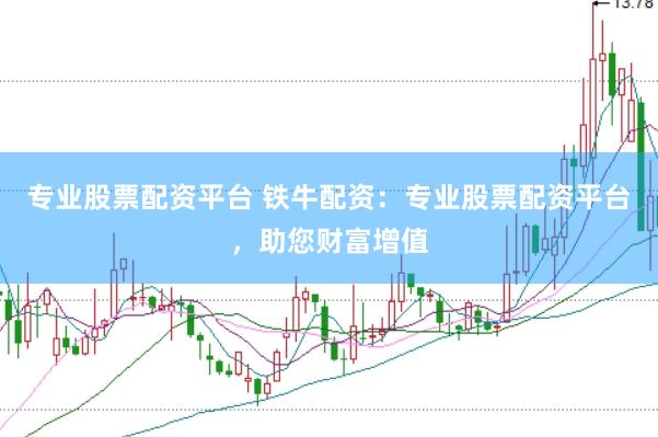 专业股票配资平台 铁牛配资：专业股票配资平台，助您财富增值