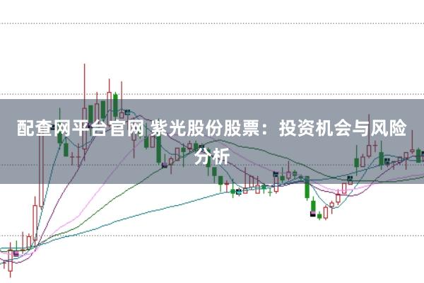 配查网平台官网 紫光股份股票：投资机会与风险分析