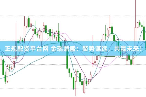 正规配资平台网 金瑞鼎盛：聚势谋远，共赢未来！