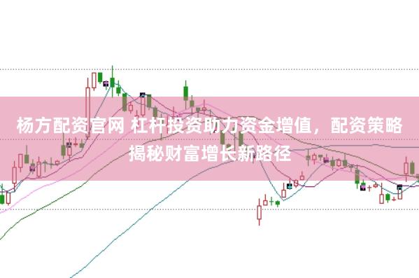 杨方配资官网 杠杆投资助力资金增值，配资策略揭秘财富增长新路径