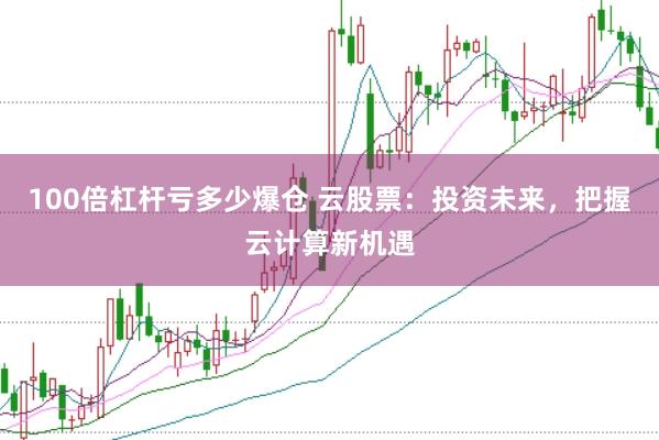 100倍杠杆亏多少爆仓 云股票：投资未来，把握云计算新机遇