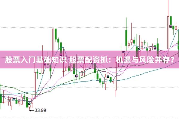 股票入门基础知识 股票配资抓：机遇与风险并存？