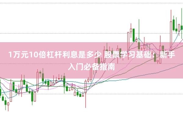 1万元10倍杠杆利息是多少 股票学习基础：新手入门必备指南
