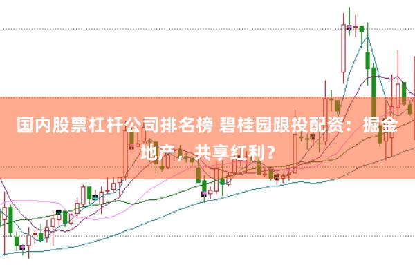 国内股票杠杆公司排名榜 碧桂园跟投配资：掘金地产，共享红利？