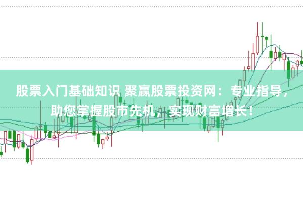 股票入门基础知识 聚赢股票投资网：专业指导，助您掌握股市先机，实现财富增长！