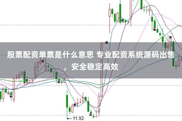 股票配资单票是什么意思 专业配资系统源码出售，安全稳定高效