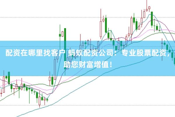 配资在哪里找客户 蚂蚁配资公司：专业股票配资，助您财富增值！