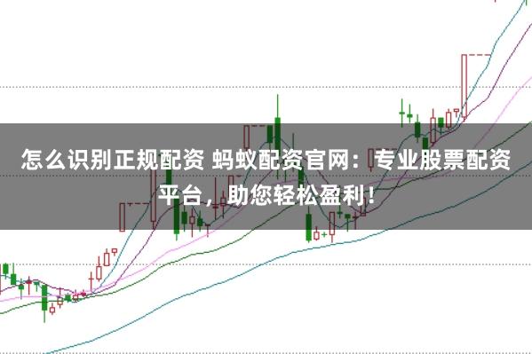 怎么识别正规配资 蚂蚁配资官网：专业股票配资平台，助您轻松盈利！