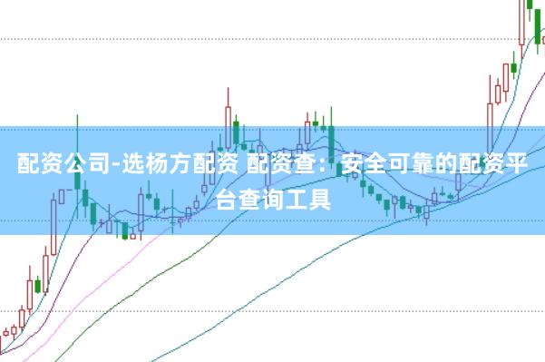 配资公司-选杨方配资 配资查：安全可靠的配资平台查询工具