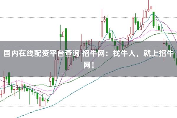 国内在线配资平台查询 招牛网：找牛人，就上招牛网！