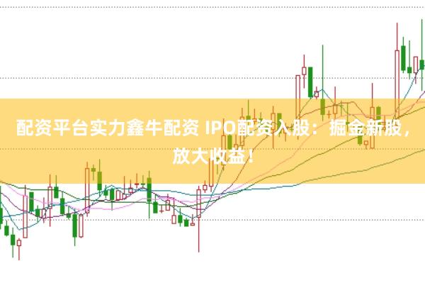 配资平台实力鑫牛配资 IPO配资入股：掘金新股，放大收益！
