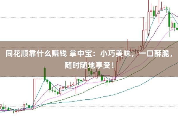 同花顺靠什么赚钱 掌中宝：小巧美味，一口酥脆，随时随地享受！