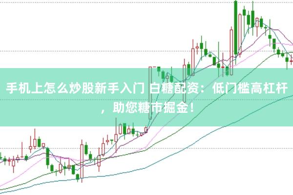 手机上怎么炒股新手入门 白糖配资：低门槛高杠杆，助您糖市掘金！