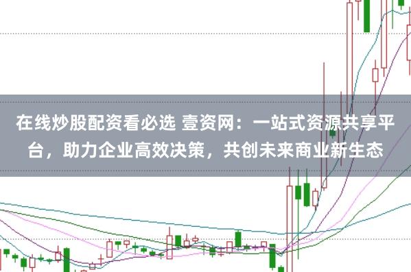在线炒股配资看必选 壹资网:一站式资源共享平台,助力企业高效决策,共创未来商业新生态