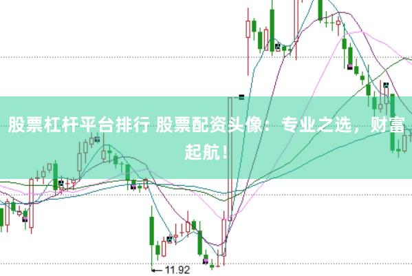 股票杠杆平台排行 股票配资头像：专业之选，财富起航！