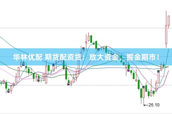 华林优配 期货配资货：放大资金，掘金期市！