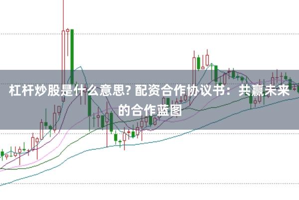 杠杆炒股是什么意思? 配资合作协议书:共赢未来的合作蓝图