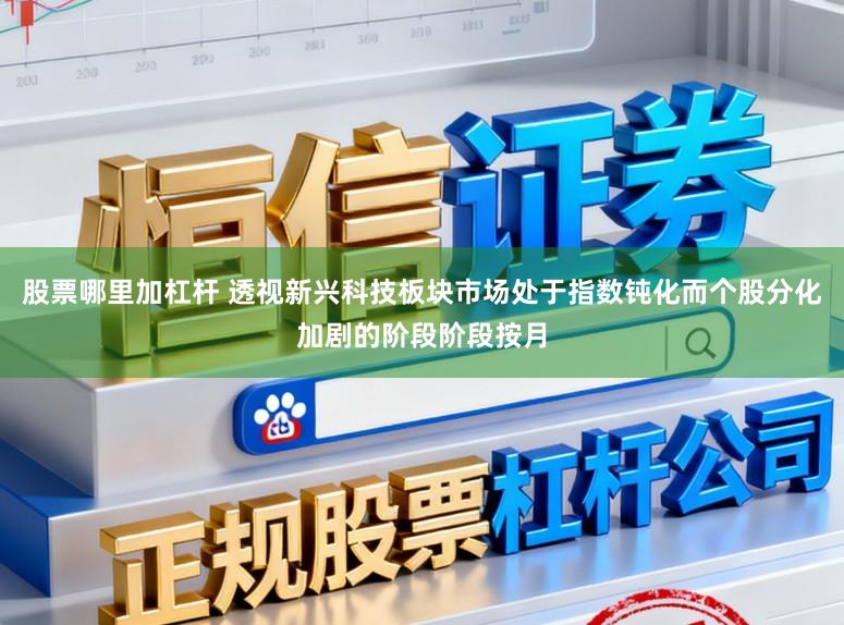 股票哪里加杠杆 透视新兴科技板块市场处于指数钝化而个股分化加剧的阶段阶段按月