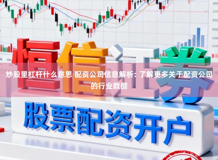 炒股里杠杆什么意思 配资公司信息解析: 了解更多关于配资公司的行业数据